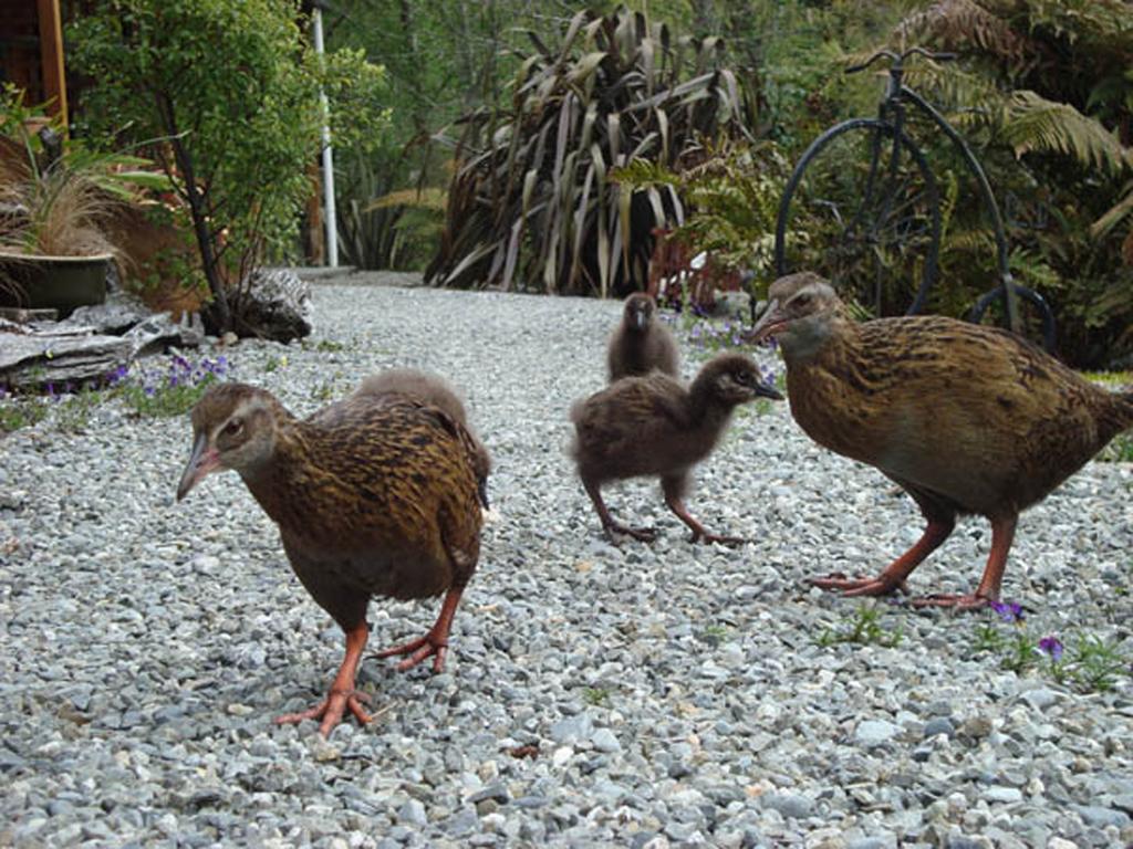 Lake Brunner Country Motel & Holiday Park モアナ エクステリア 写真