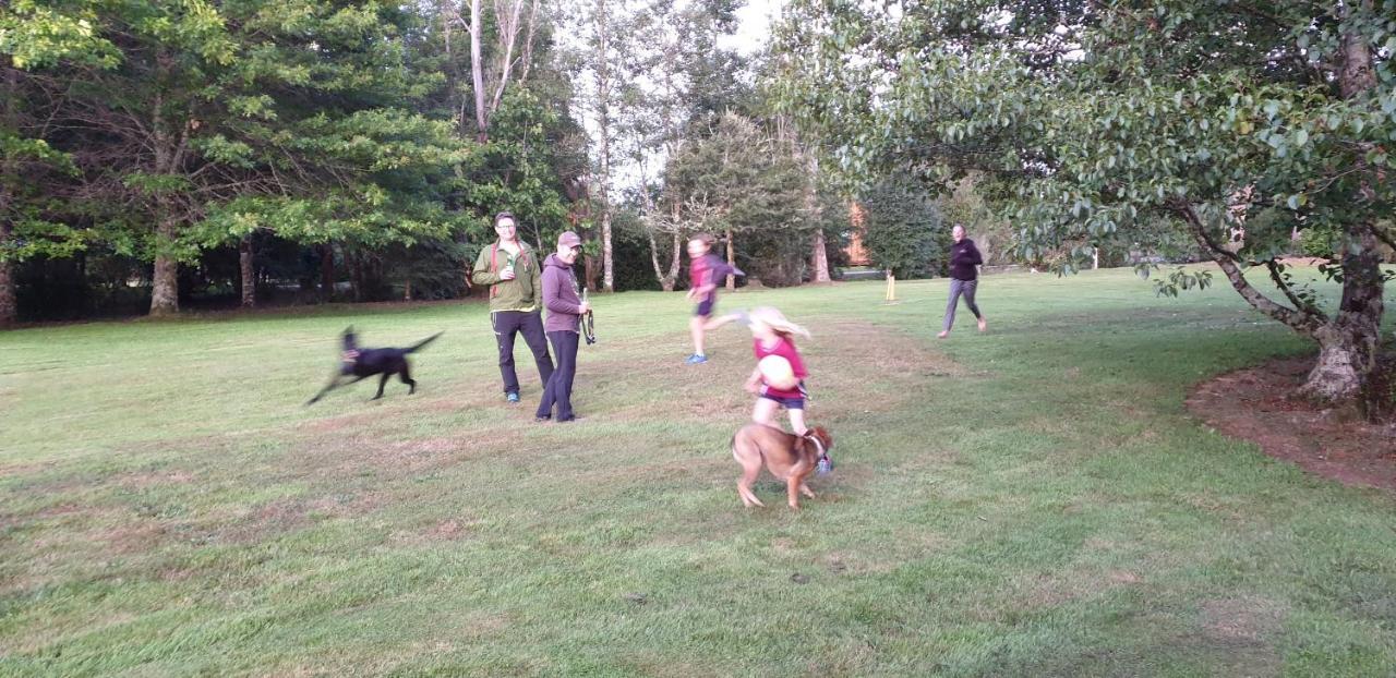 Lake Brunner Country Motel & Holiday Park モアナ エクステリア 写真