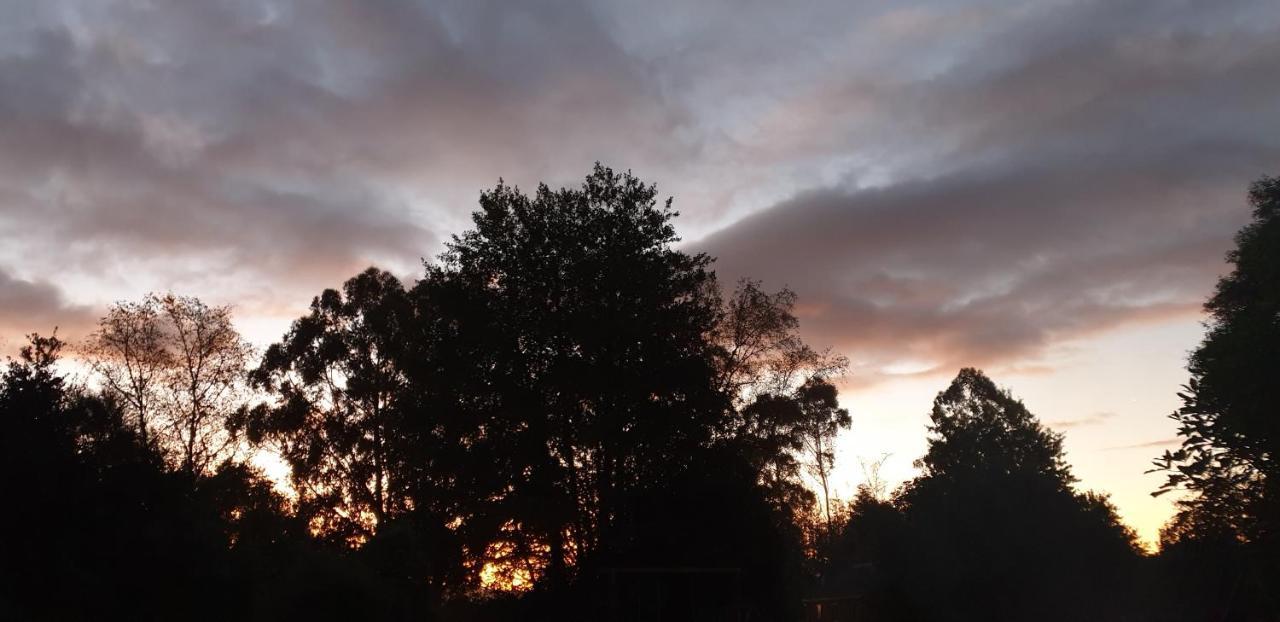 Lake Brunner Country Motel & Holiday Park モアナ エクステリア 写真