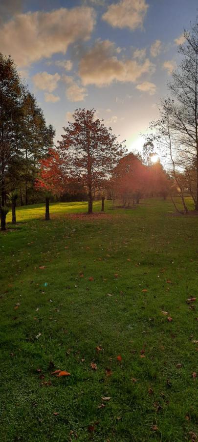 Lake Brunner Country Motel & Holiday Park モアナ エクステリア 写真