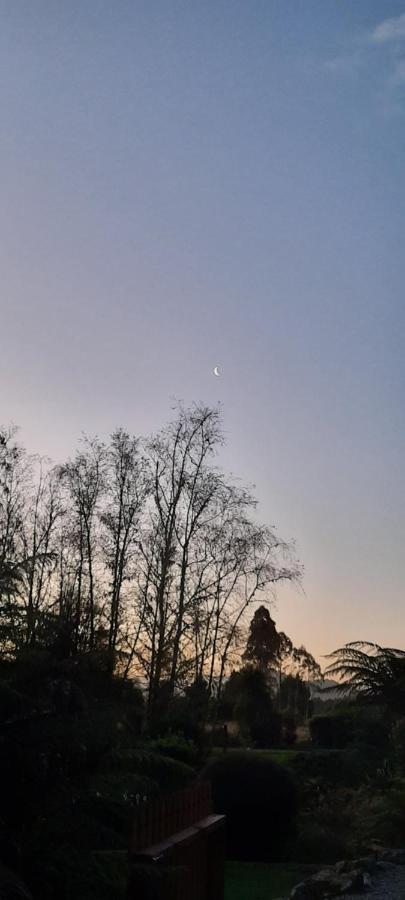 Lake Brunner Country Motel & Holiday Park モアナ エクステリア 写真