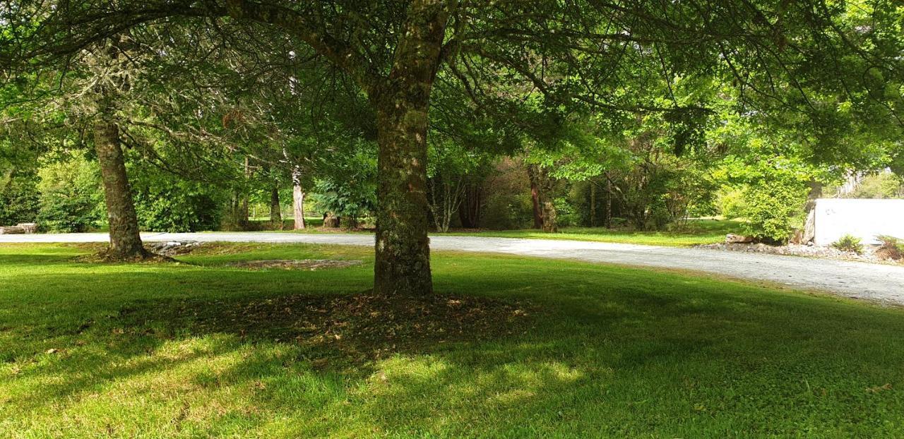 Lake Brunner Country Motel & Holiday Park モアナ エクステリア 写真